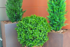 Вазоны из corten стали cortenium Проект ХК Локомотив