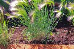 Клумба из corten стали cortenium